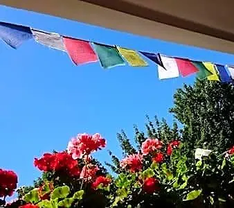 Bed and breakfast Bed & Breakfast Bonn *